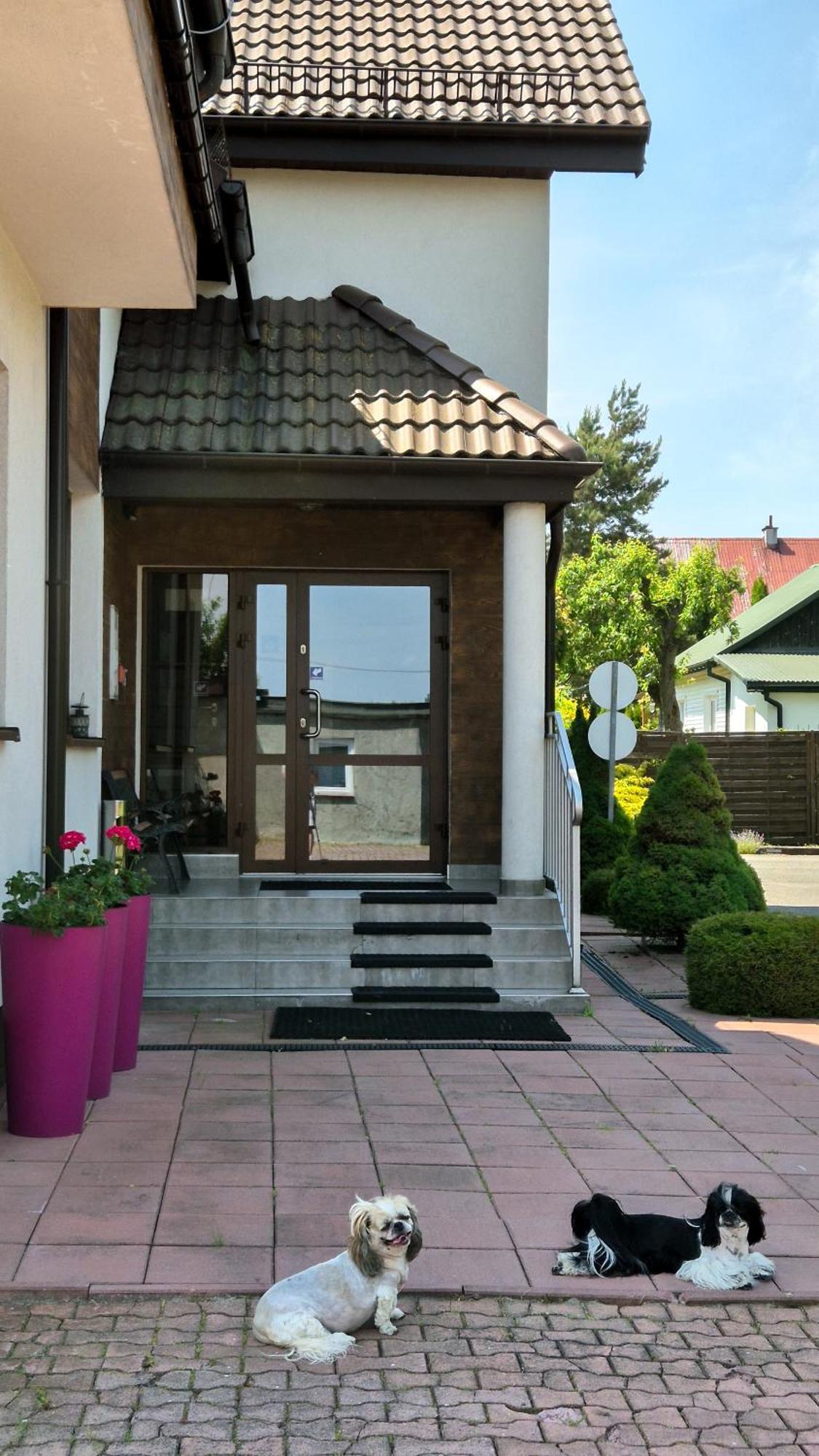Noclegi Pod Lasem Lublin Extérieur photo